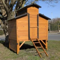 Poulailler Farmer XL Toit Tôle Ouvrant 6 à 10 Poules Bois FSC Avec Rehausse -Poulaillers poulialler farmer avec rehausse entree fermee 1