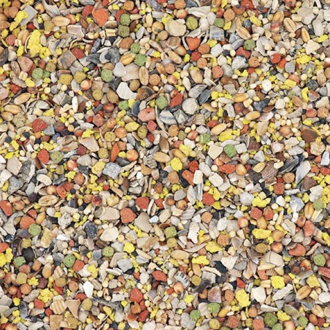 VERSELE-LAGA Mélange De Minéraux Enrichi Pour Volailles MinaVital 4Kg - Versele Laga 3 VERSELE-LAGA Mélange De Minéraux Enrichi Pour Volailles MinaVital 4Kg - Versele Laga