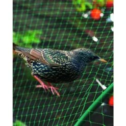 Filet De Protection Oiseaux Pour Poulailler Vert Birdnet 5x10m - Nortene -Poulaillers wil 28903 3 2d20d613 9391 4027 ad1e ea5e9c2143b9 620x